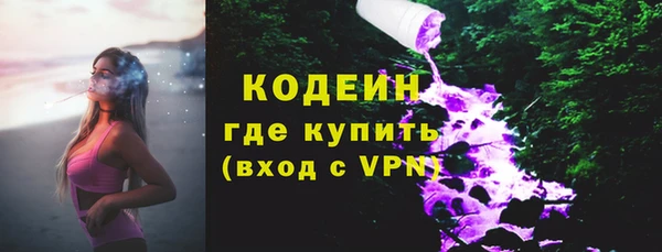 бошки Инта