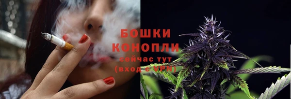 бошки Инта