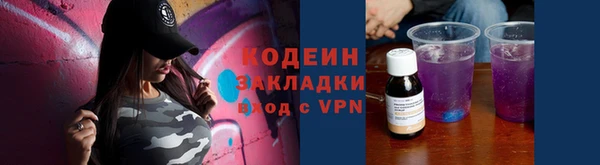бошки Инта