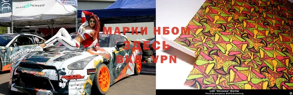 бошки Инта