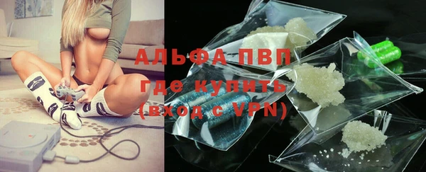 бошки Инта